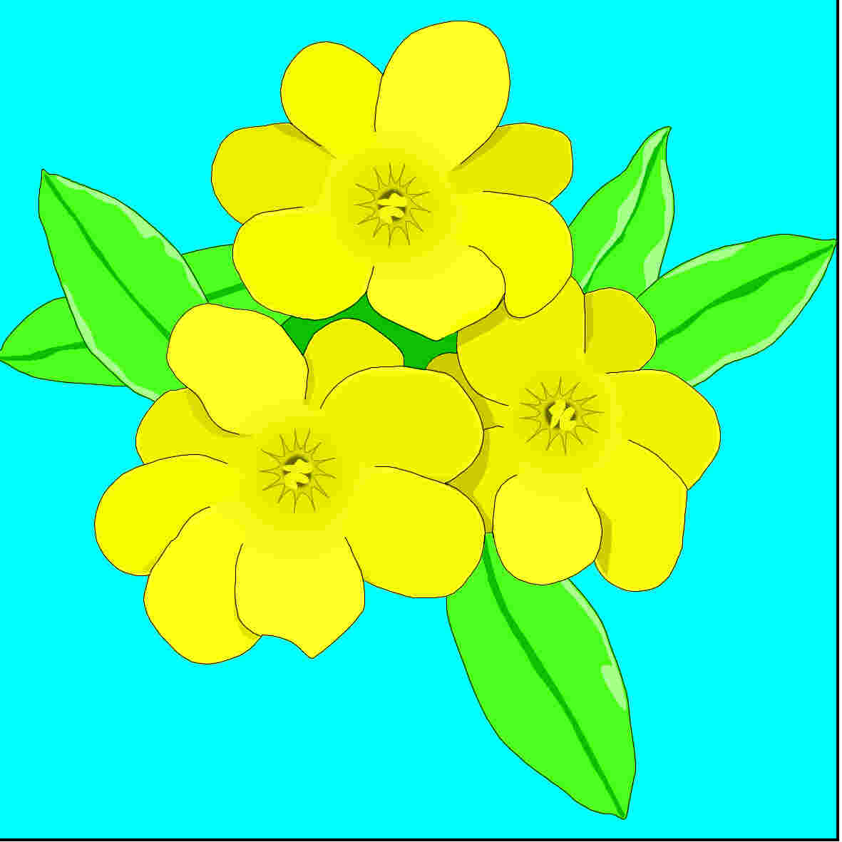 [Jasmine picture]